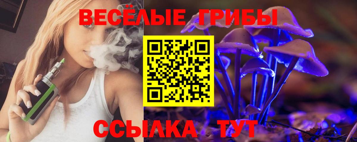 закладка  Вход с VPN  Кувандык  Галлюциногенные грибы GOLDEN TEACHER 